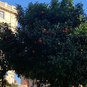 Meet your Posher, Tetyana